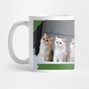 The chubby cats gangs Mug